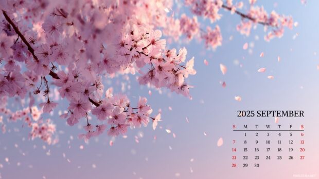 Aesthetic September 2025 Desktop Calendar Wallpapers (5).