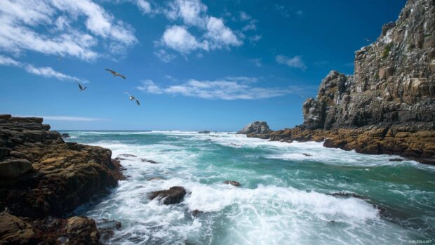 Amazing backgrounds for desktop, A striking coastal cliffside view with waves crashing against the rocks and birds soaring overhead.