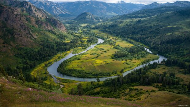 Amazing backgrounds free download, A sweeping aerial view of a lush valley with a winding river, dotted with patches of colorful wildflowers.