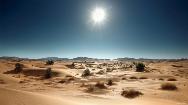 Amazing backgrounds nature, A vast desert landscape with rolling sand dunes, dotted with sparse vegetation under a brilliant sun.