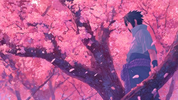 Anime Sasuke backgrounds, A vibrant anime style illustration of Sasuke surrounded by cherry blossom trees, with petals falling gently around him.