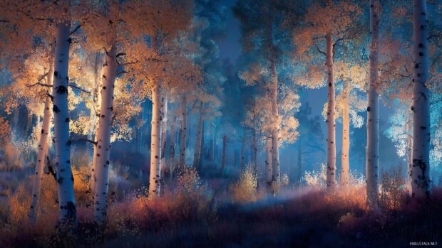 Aspen trees wallpaper for computers, A dreamy twilight scene with aspen trees illuminated by soft glowing lights.