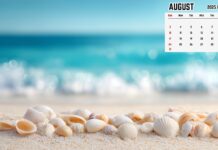 August 2025 Calendar Desktop Background for PC (1).