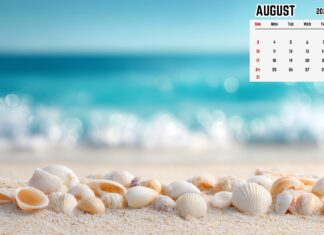 August 2025 Calendar Desktop Background for PC (1).