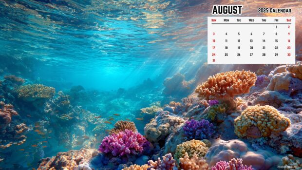 August 2025 Calendar Desktop Summer Wallpaper (1).