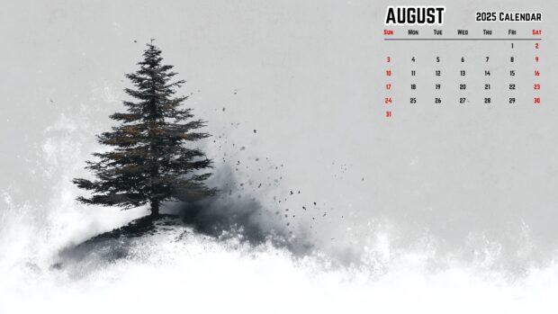 August 2025 Calendar Desktop Summer Wallpaper (3).