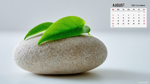 August 2025 Calendar Desktop Wallpaper (11).