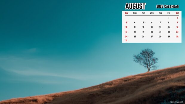 August 2025 Calendar Desktop Wallpaper HD free download (4).