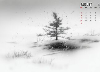 August 2025 Calendar HD Wallpaper (1).