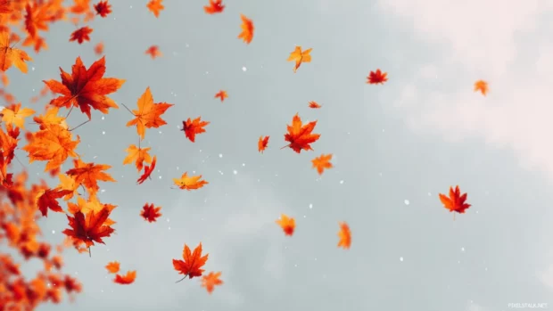 Autumn background showcasing vibrant orange and red maple leaves falling against pale sky.