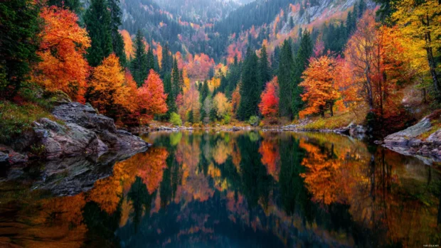 Autumn fall scenery wallpapers featuring a peaceful lake surrounded by colorful trees reflecting in the water.