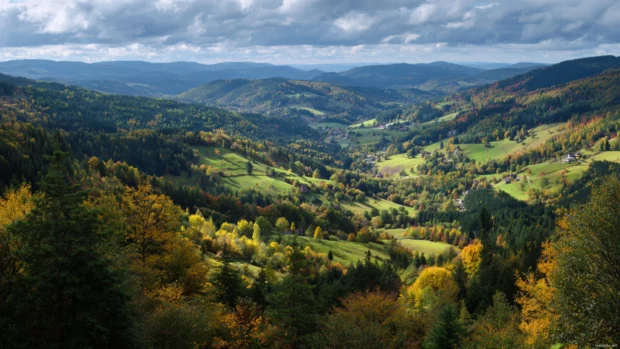 Autumn fall scenery wallpapers showing a scenic overlook with panoramic views of rolling hills and forests.