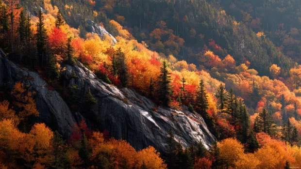 Autumn mountain wallpaper showcasing sunlit ridge of fiery maple forest draped over rocky peaks.