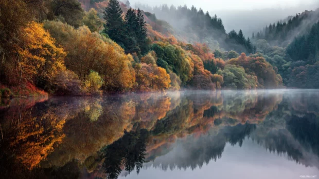 Autumn reflections on a still lake surrounded by vibrant trees, soft mist rising in the early morning.