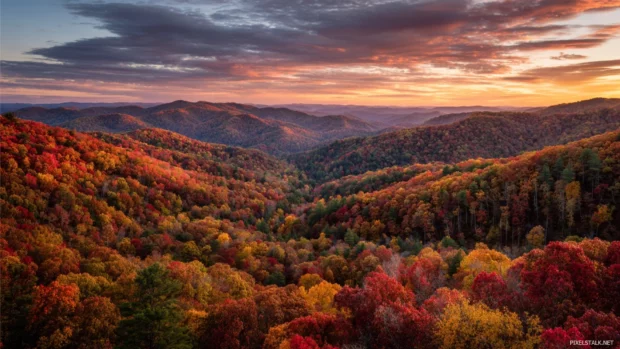 Autumn sunset illuminating rolling hills covered in forests of red, orange, and yellow leaves.