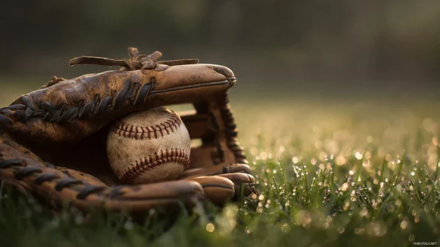 Baseball gloves background featuring glove cradling ball on dewy grass with soft natural light.
