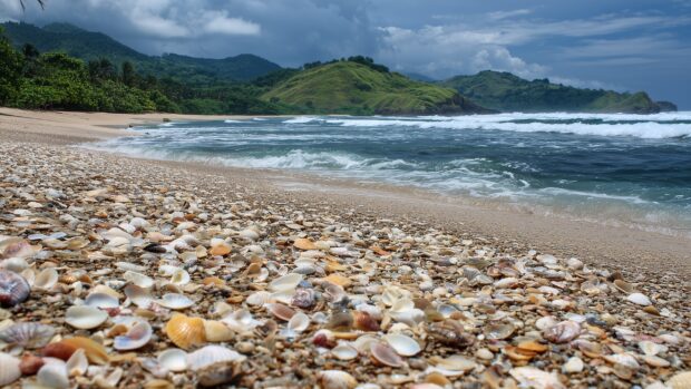 Beach scenery image, A remote beach with scattered seashells and a backdrop of lush green hills.