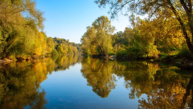 Beautiful Autumn reflections on a calm river with trees in full seasonal colors and clear blue skies.