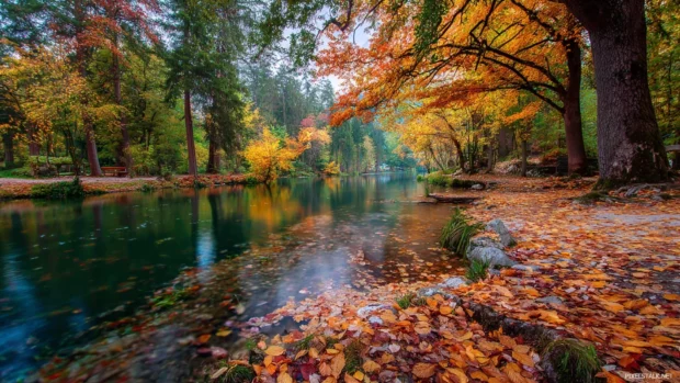 Beautiful Autumn scenery with colorful trees surrounding a peaceful riverside, fallen leaves covering the shore.