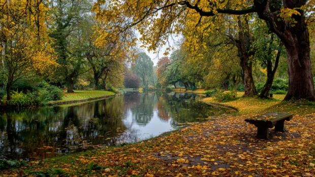 Beautiful Autumn vibes captured in a quiet lakeside park where fallen leaves gently cover the ground.