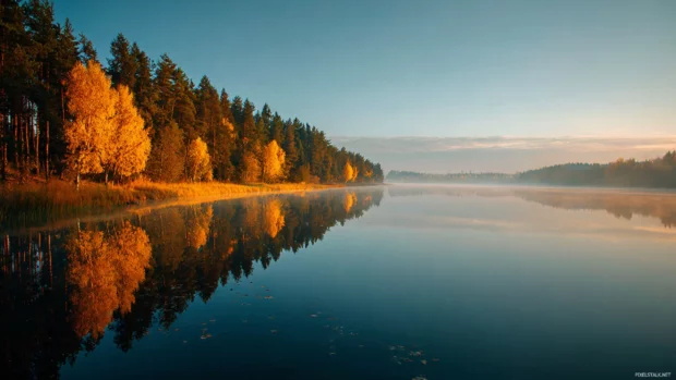 Beautiful autumn lake wallpaper reflecting cerulean sky and golden forest lining calm water at dawn.