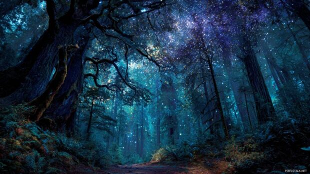 Best starry night wallpapers hd depicting an ancient forest illuminated by a blanket of stars.