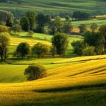 Calm countryside scene with high resolution green wallpapers sho