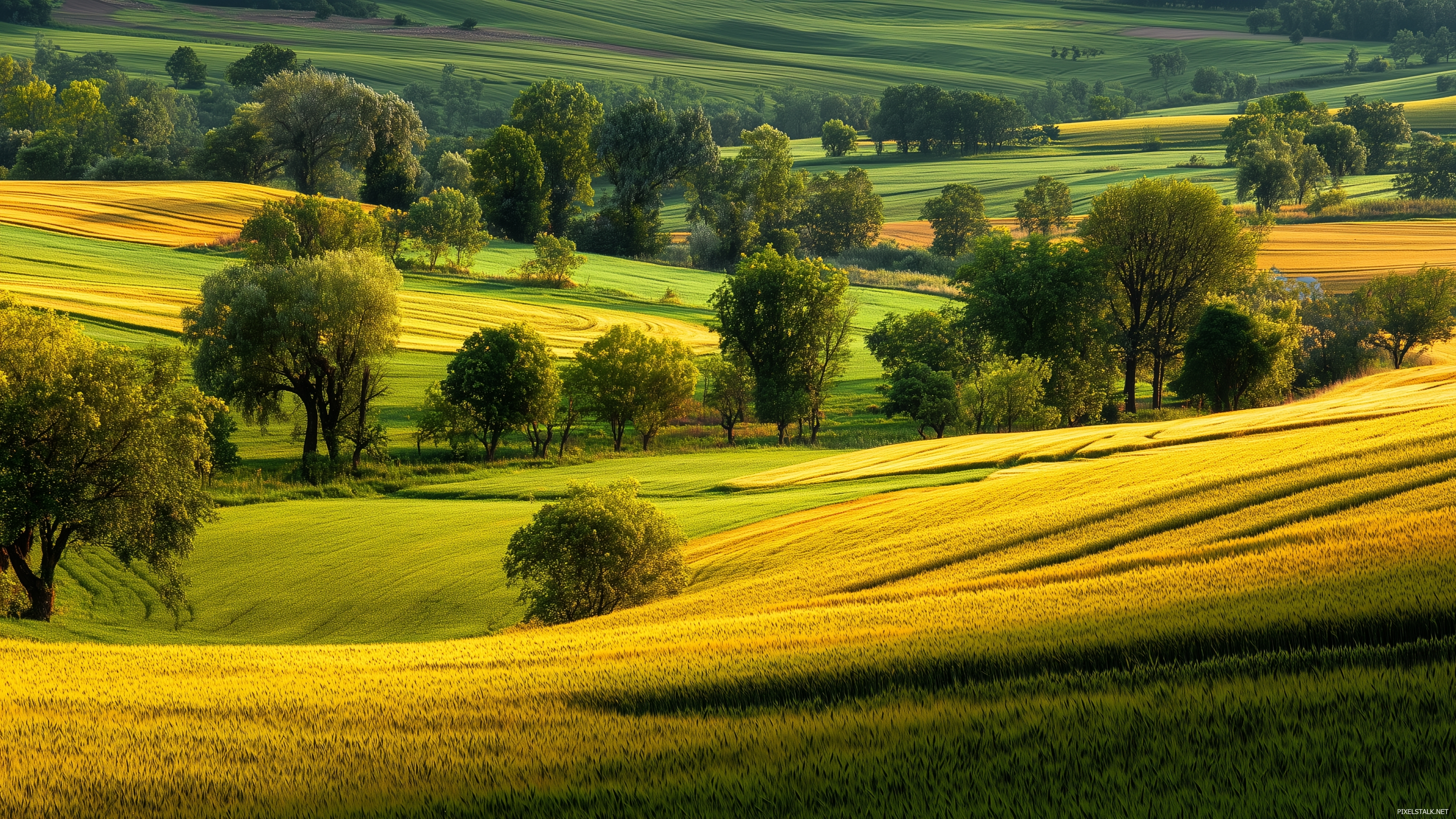 Calm countryside scene with high resolution green wallpapers sho.