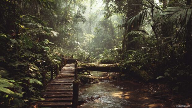 Captivating jungle nature desktop backgrounds that inspire a love for the wild.