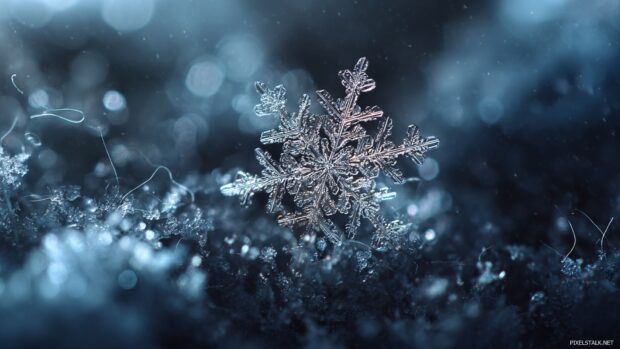 Captivating snowflake wallpaper hd with intricate details, perfect for a winter themed aesthetic.