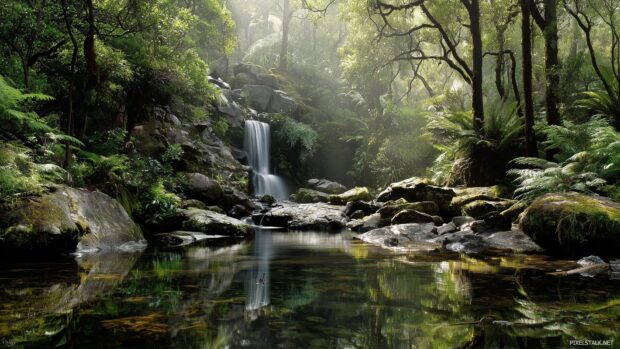Captivating waterfall forest wallpaper inviting reflection and relaxation.