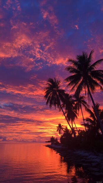 Cell phone images, A vibrant sunset over a calm ocean with palm trees in silhouette.