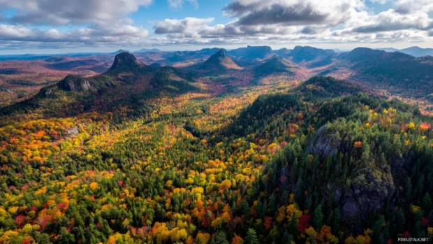 Colorful fall mountain wallpaper illustrating aerial view of patchwork forest across rugged mountains.
