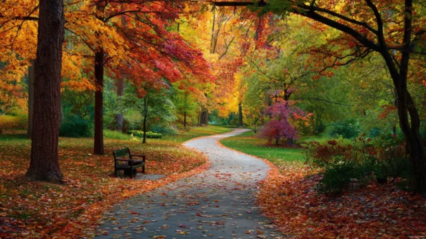 Colorful fall scenery wallpapers portraying a winding path covered in leaves leading through a picturesque park.
