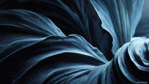 Dark blue and black backgrounds juxtaposing light and dark elements in harmony.