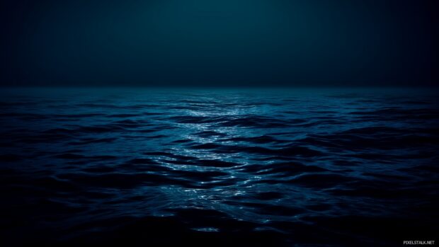 Dark blue and black backgrounds reflecting the depth of the ocean.