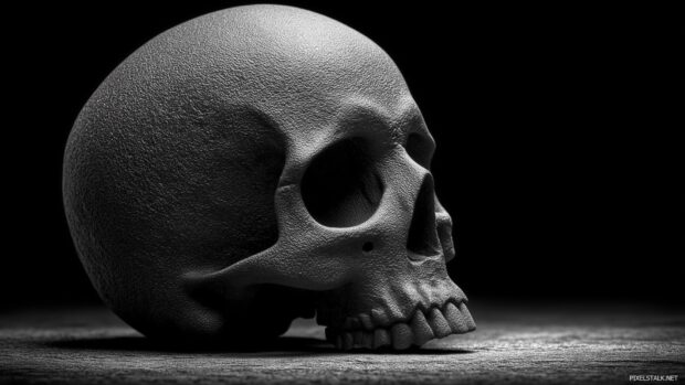 Dark skull wallpapers hd for download highlighting shadows and dramatic lighting.
