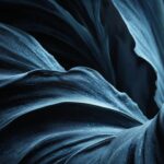 Dark blue and black backgrounds juxtaposing light and dark eleme
