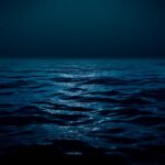 Dark blue and black backgrounds reflecting the depth of the ocea