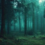 Dark green wallpapers hd portraying a mysterious woodland at dus