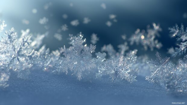 Delicate snowflakes wallpapers HD featuring intricate patterns and details, softly falling on a smooth surface.