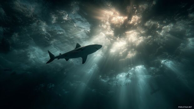 Dramatic shark background hd showcasing a deep sea environment filled with shadows and light.