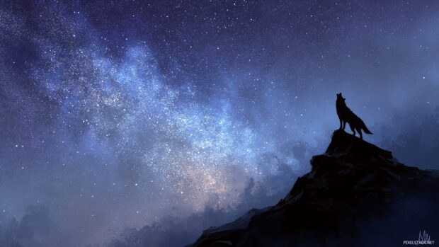 Epic wolf wallpapers for desktop illustrating a wolf standing proud on a rocky peak against a starry night sky.