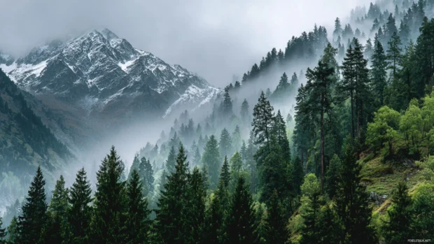 Experience the beauty of nature with free wallpapers for Windows, highlighting lush forests and majestic mountains in vibrant detail.