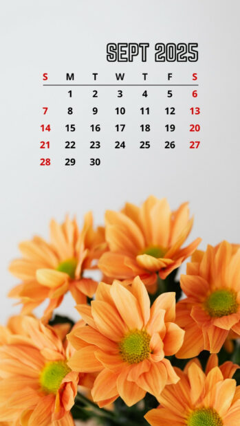 Fall Vibes September 2025 Calendar Phone Background (4).