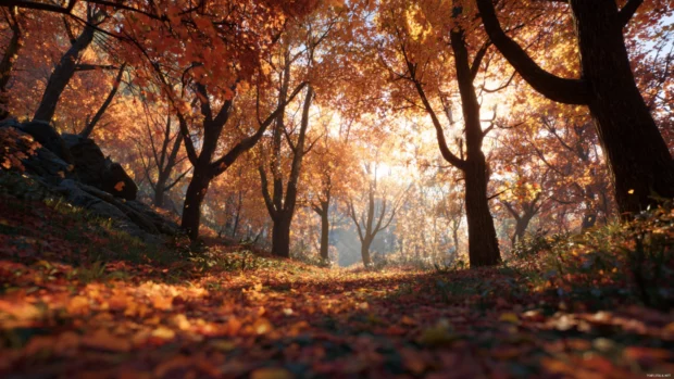 Fall forest with sunlight filtering through colorful trees and a soft carpet of leaves, immersive 3D atmosphere.
