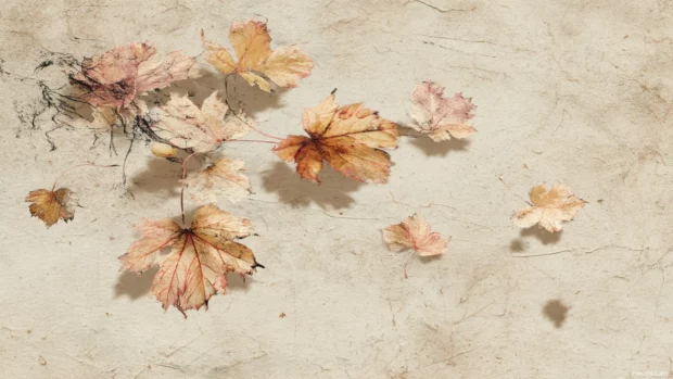 Fall leaves gently falling across a vintage textured background with ink sketch detailing.