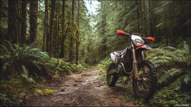 Free HD dirt bike wallpapers showcasing an off road adventure in a lush forest.