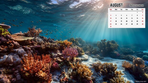 Free download August 2025 Calendar Wallpaper HD for PC (4).