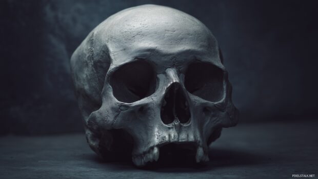 Free skull wallpapers for desktop showing a haunting design in a dimly lit environment.